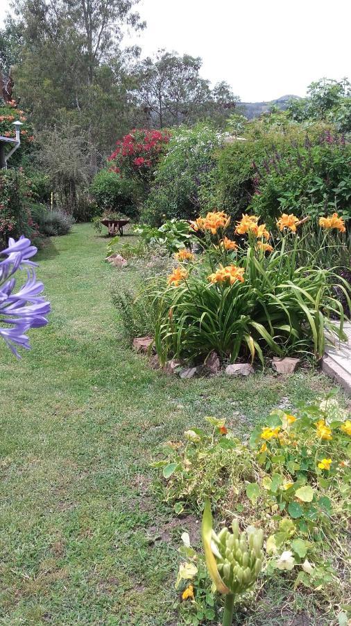 Calendulas- Lo De Juan Y Mabel Bed & Breakfast *